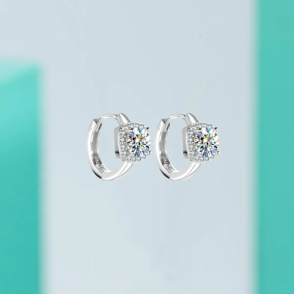 925 sterling silver earrings shic