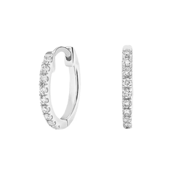 VVS1 Moissanite Hoop Earrings